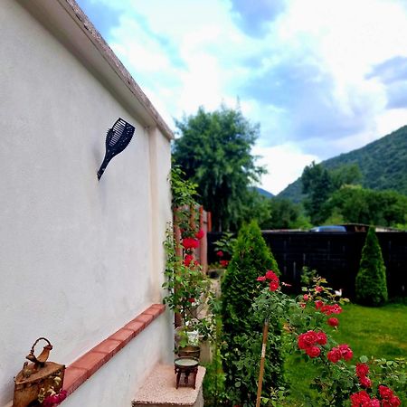 Renate House Hotell Băile Herculane Exteriör bild
