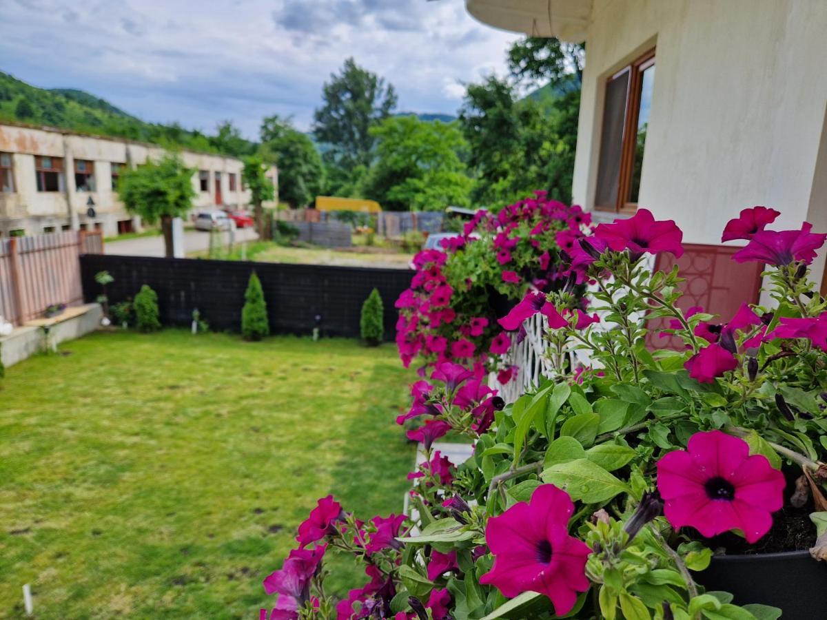 Renate House Hotell Băile Herculane Exteriör bild