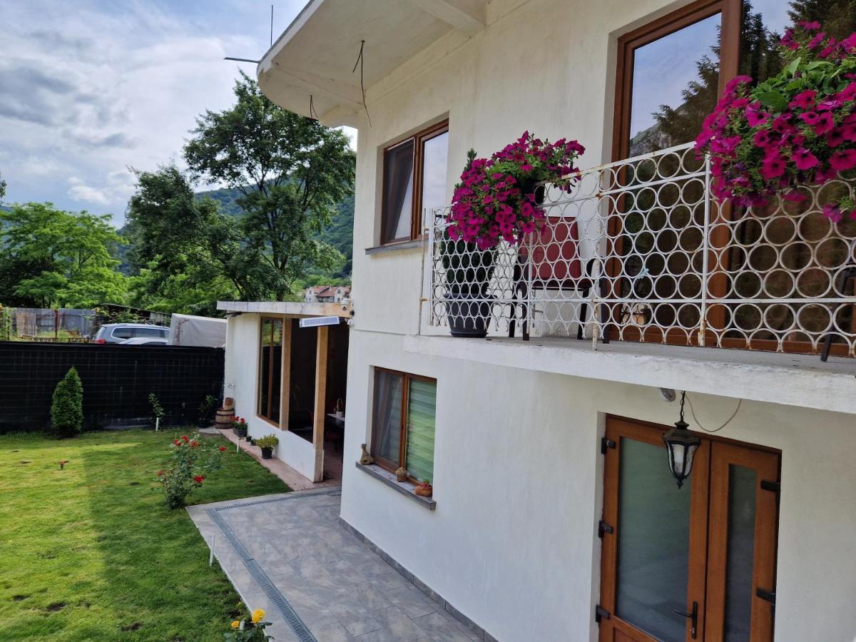 Renate House Hotell Băile Herculane Exteriör bild
