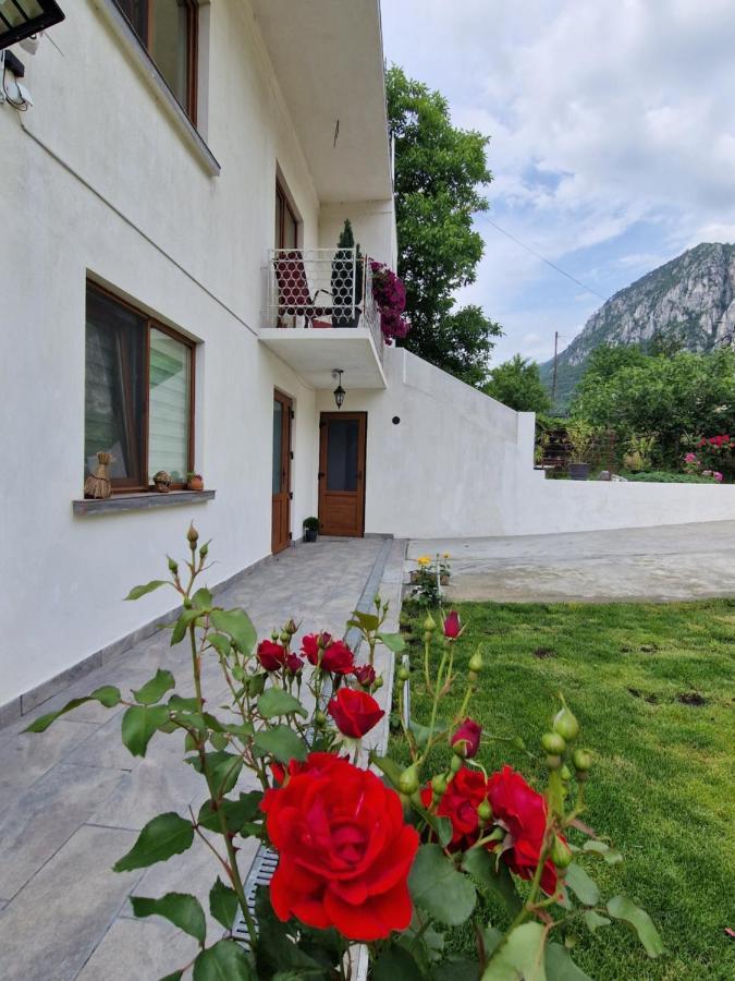 Renate House Hotell Băile Herculane Exteriör bild