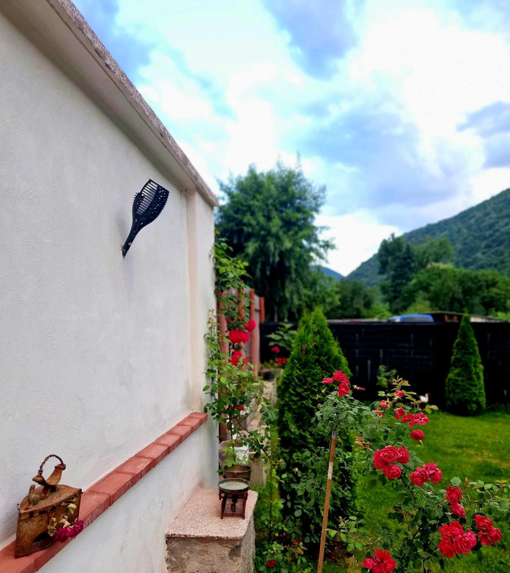 Renate House Hotell Băile Herculane Exteriör bild