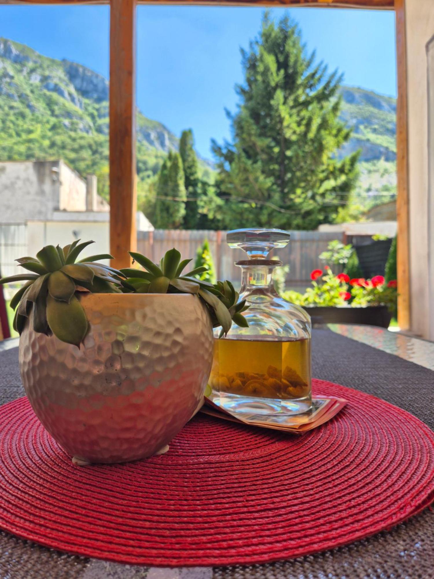 Renate House Hotell Băile Herculane Exteriör bild